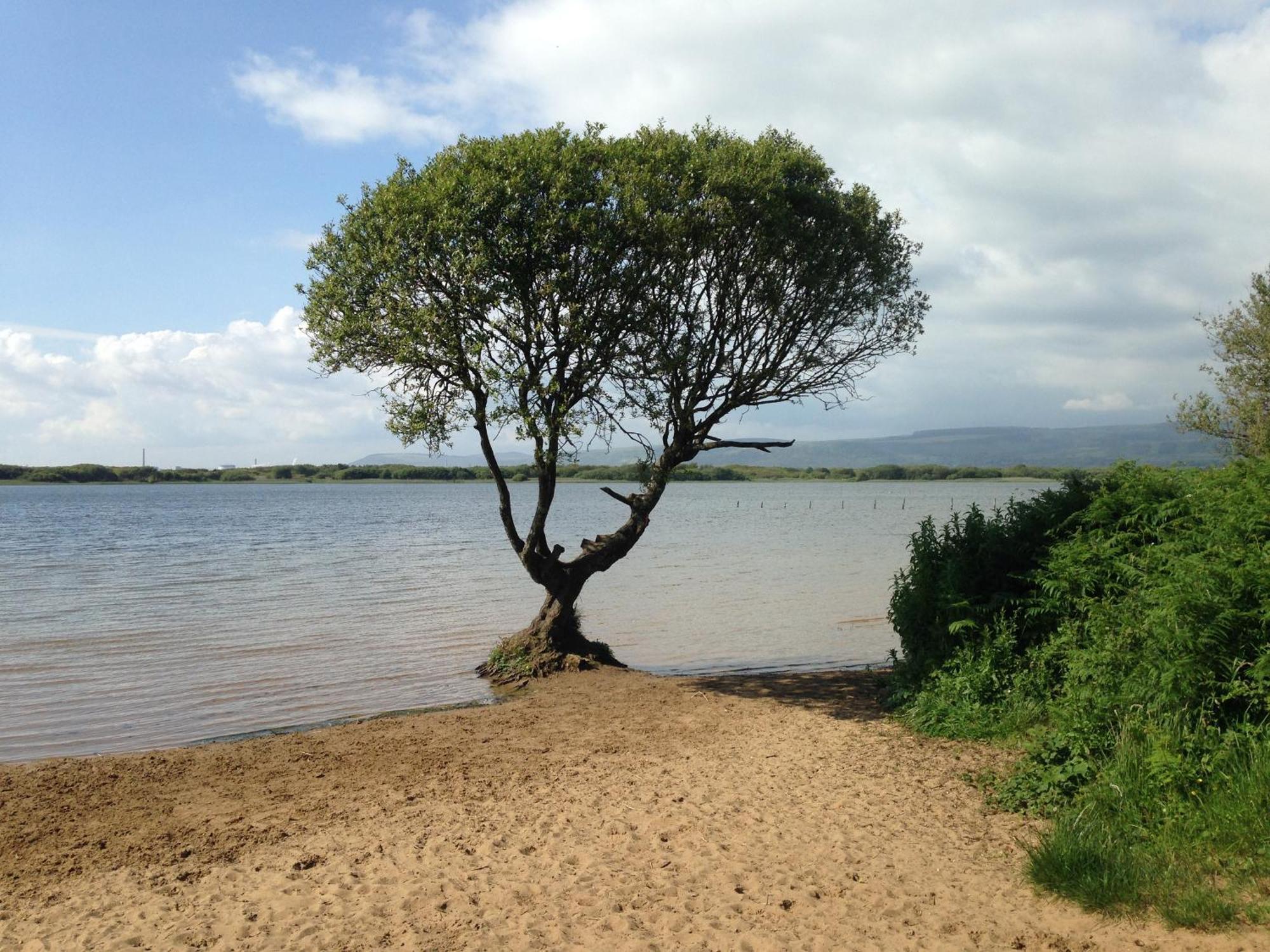 Kenfig Farm Villa บริดจ์เอนด์ ภายนอก รูปภาพ